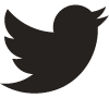 twitter icon
